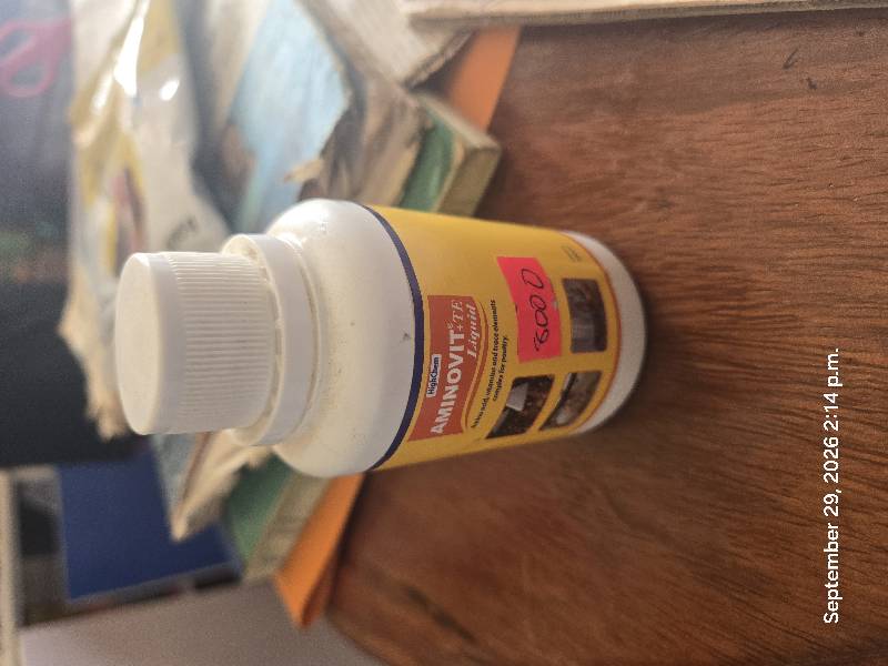 Aminovit 100mls