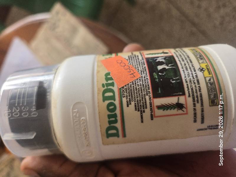 Duodip 250mls