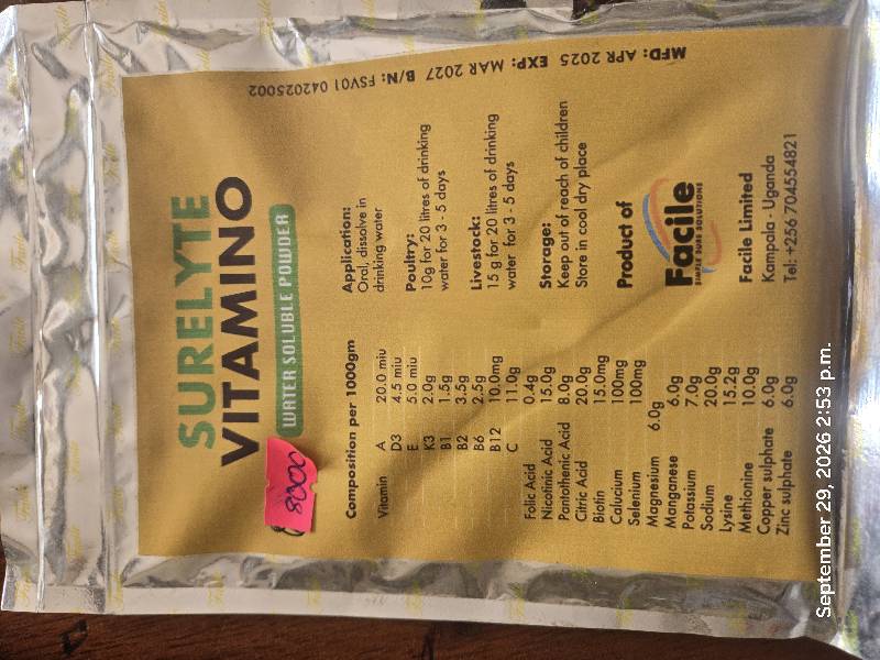 Surelyte vitamin 100gm