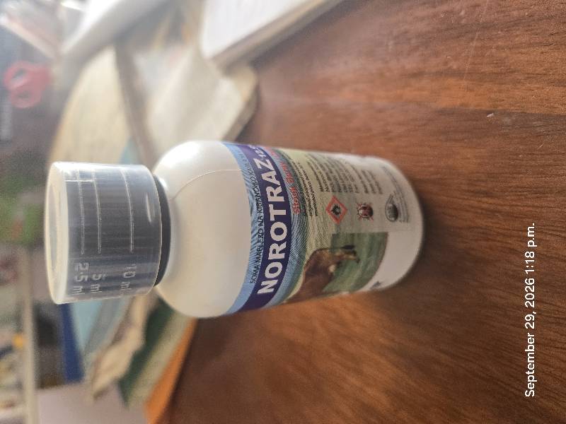 Norotraz 100mls