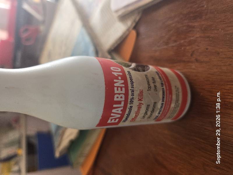 Evalben 10% 100mls