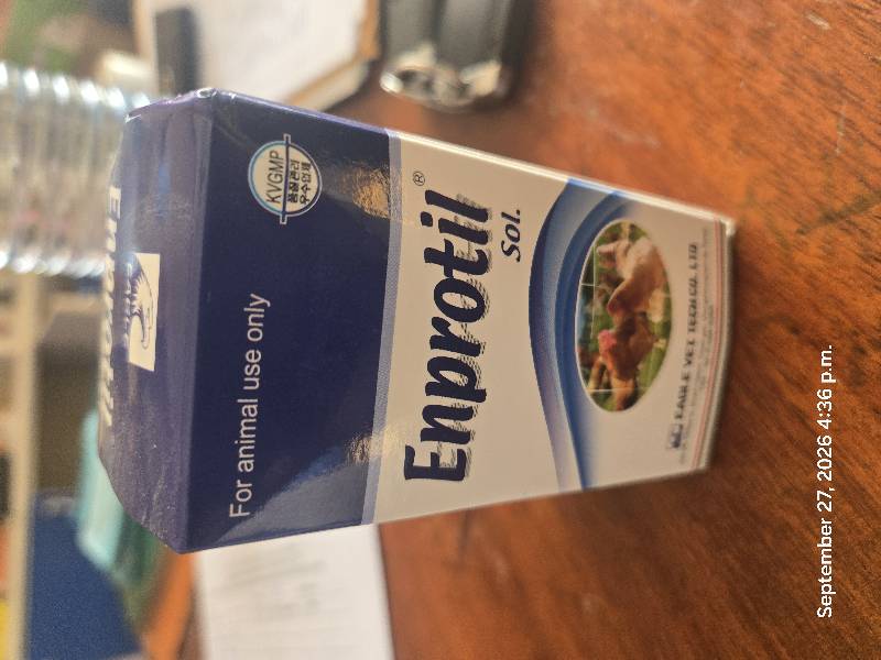 Enprotil solution 100mls