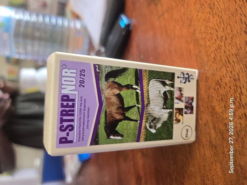 Penstrepnor 50mls