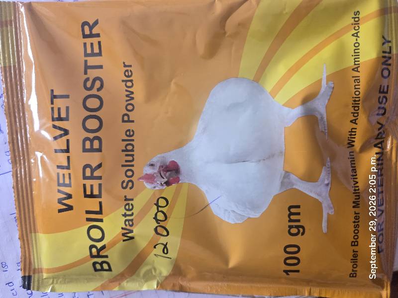 Well vet Broiler 100gm