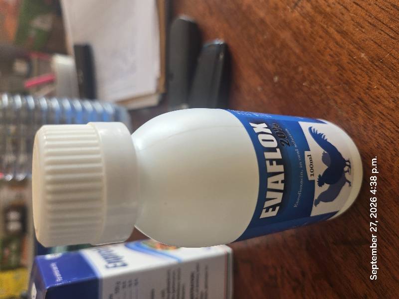 Evaflox 20% 100mls