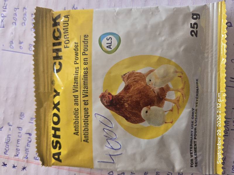 Ashoxy Chick Formula 25g