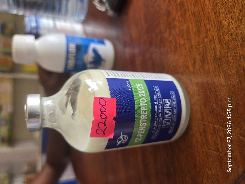 Penstrep EV 100mls