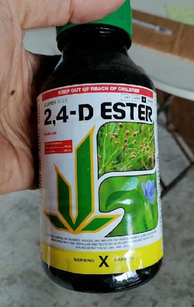 24-D Ester 500ml