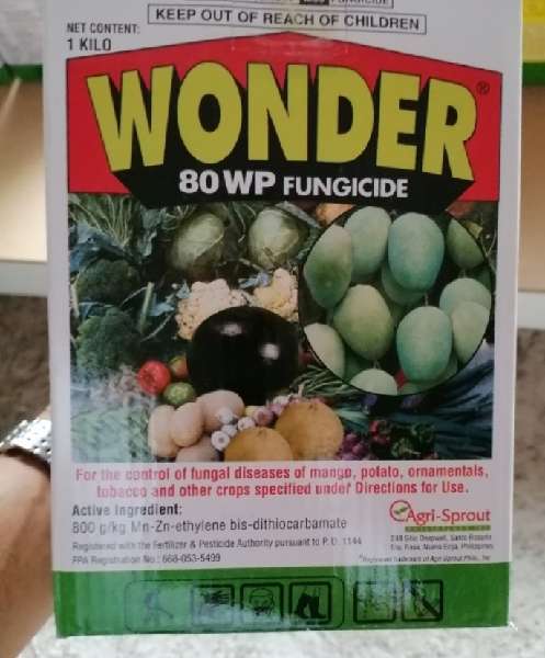 Wonder 80WP  250grms
