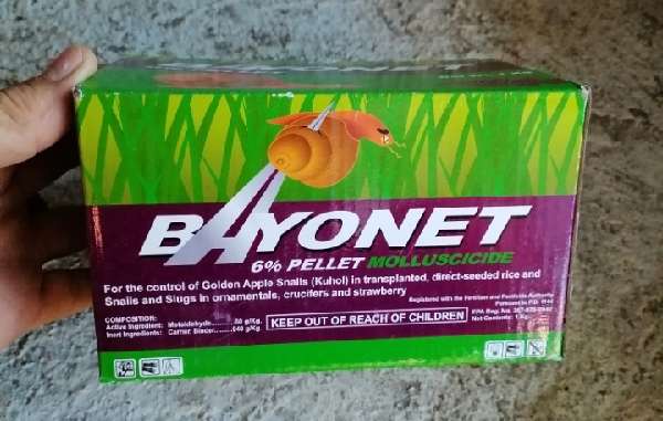 Bayonet 1kg box