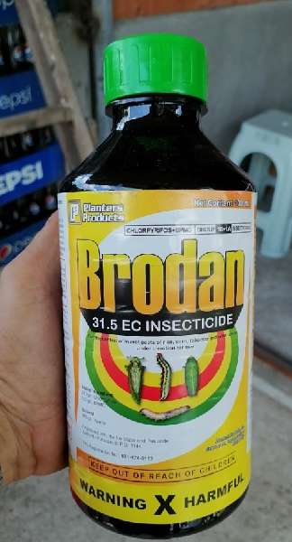 Brodan 31.5EC 1Liter