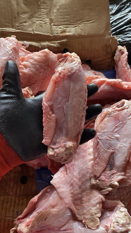 Turkey Midwings