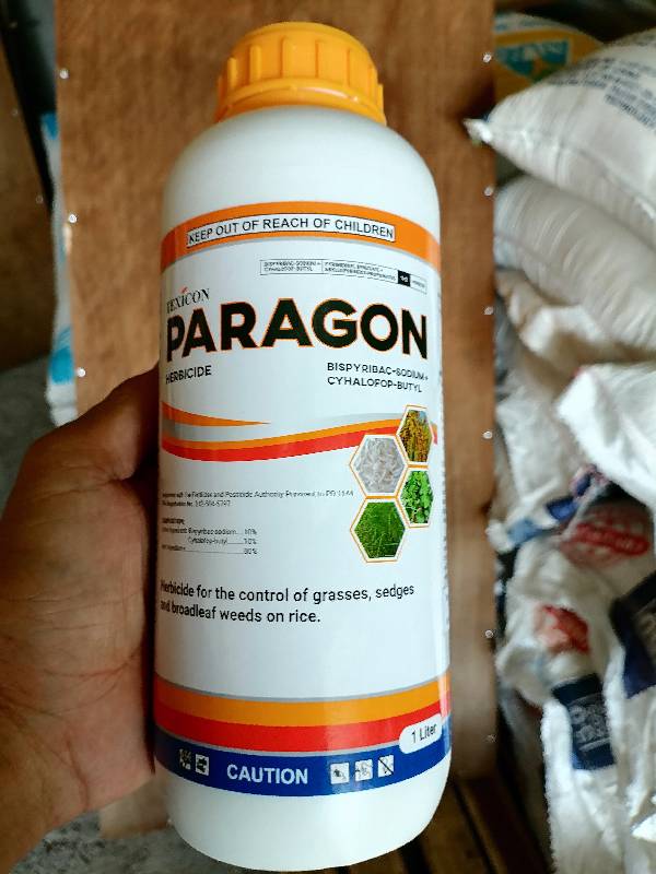 Paragon 1Liter