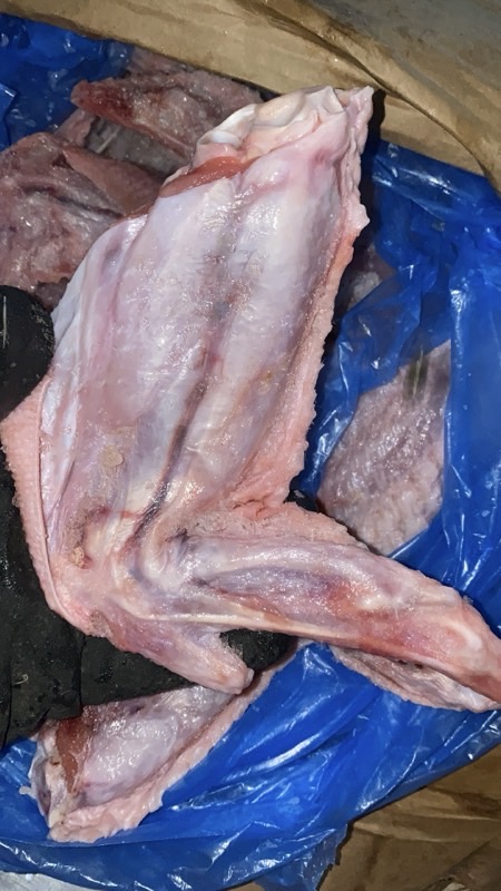 Turkey With Finger
