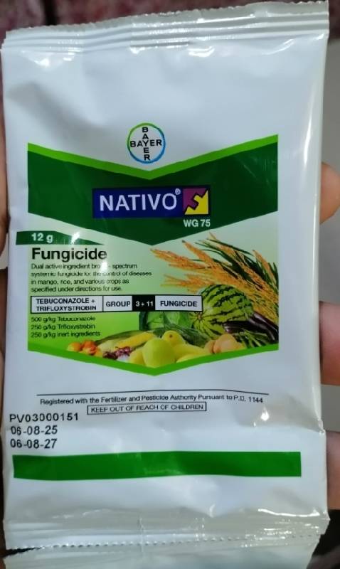 Nativo WG75 12Grams