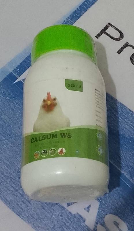 Calsum