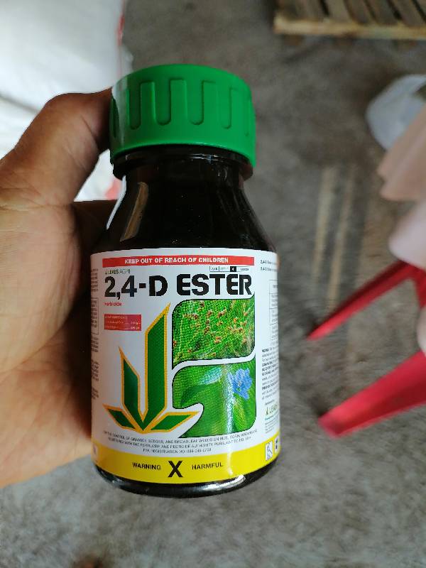24-D Ester 250ml