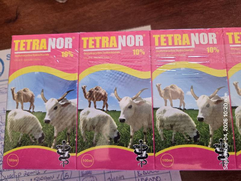 Tetranor 10% 100mls