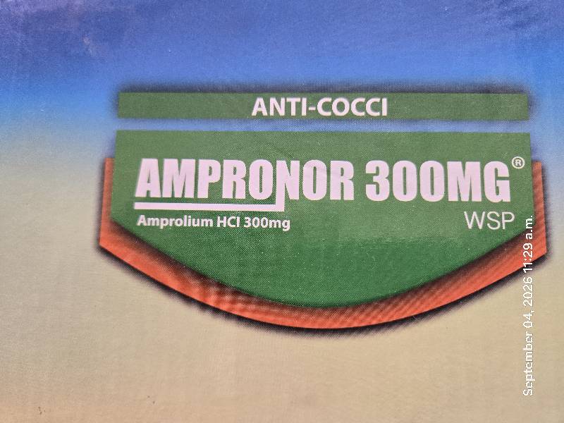 Ampronor 300mg 100g