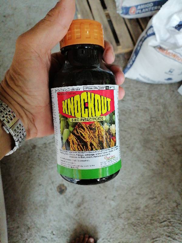 Knockout 5EC 500ml