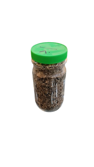 Oman Oud Tang Grade B