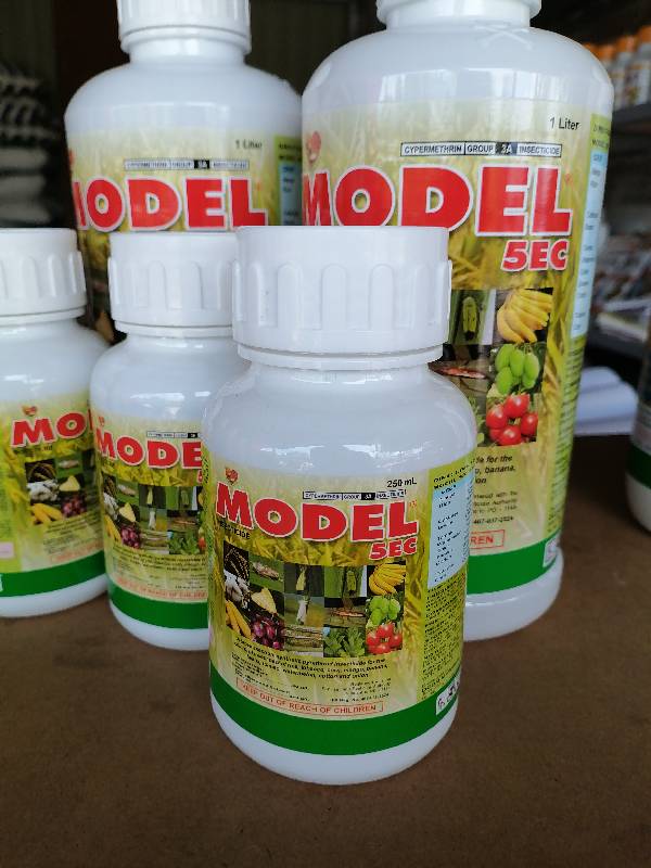 Model 5EC 250ml